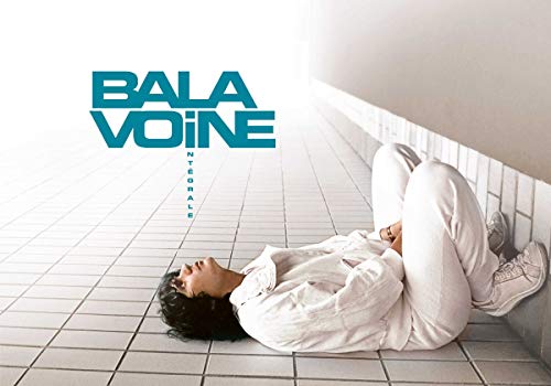 Intégrale D BALAVOINE [16CD - Intégrale format Livre d'art]