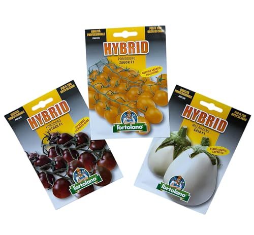 L'ORTOLANO-OFFERTA- 3 BUSTE Di Semi Da Piantare-Pomodoro Ciliegino Nero Luther F1, Pomodoro Ovalino Arancio Zagor F1, Melanzana Bianca Ovale Gaia F1. Sementi Ibride. Sementi di Alta Qualità.