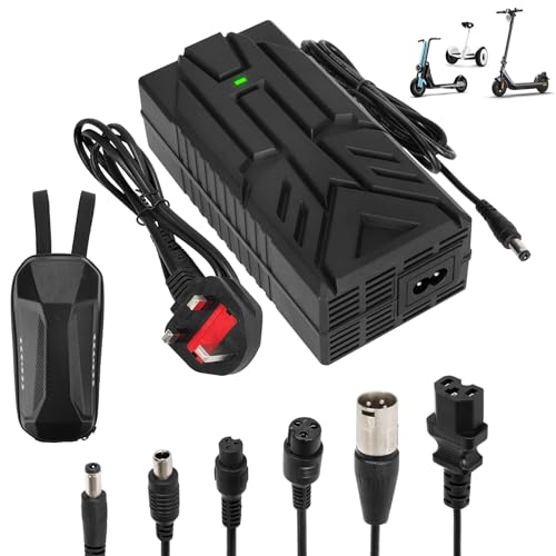 HPGAAVD 54.6V Chargers for Scooters，48V Electric Scooter Universal lithium battery charger with 6 ports，Hoverboard, Balance Bike, Drifting Board,E-Bike fast charger+2L Storage Bag