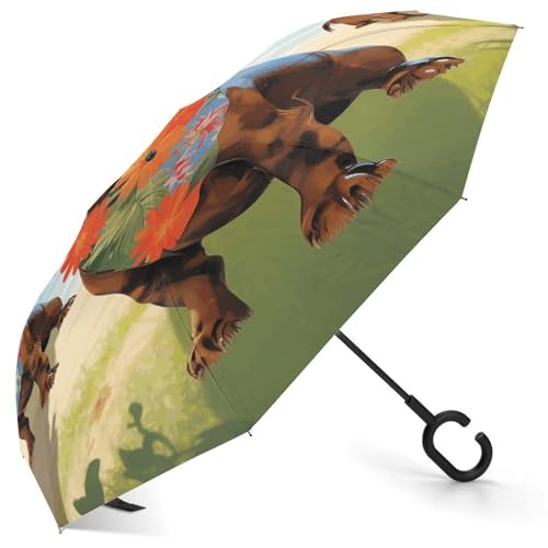 Parapluie inversé motif teckel, le cadeau original et utile pour les passionnés