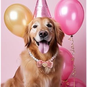 Kudes Exquisite and Adjustable Dog Necklace Elegant Princess Style Pink Pearl Collar Necklace with Bow Accessories for Female Girl Dogs Occasions and Gatherings pink Xl161196 Inches  Cucciolini Doodles Kudes exquisite and adjustable dog necklace elegant princess style pink pearl collar necklace with bow accessories for female girl dogs occasions and gatherings pink xl16 1 19 6 inches   cucciolini doodles