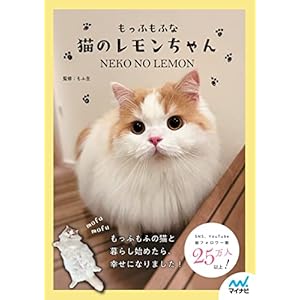 もっふもふな猫のレモンちゃん