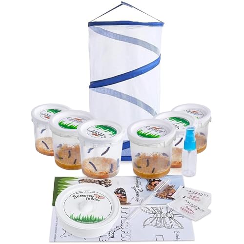 Nature Gifts Live Butterfly Kit - School-Sized Educational Experience with 30 Painted Lady Caterpillars in 6 Cups - Pop-Up Cage, and Comprehensive Rearing Supplies for Classroom Engagement