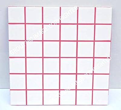 Grout 360 Rouge Red Sanded Tile Grout for Tile Installation Jobs. Use on Floors, Walls, Back Splashes, Showers, and Mosaics. (5)