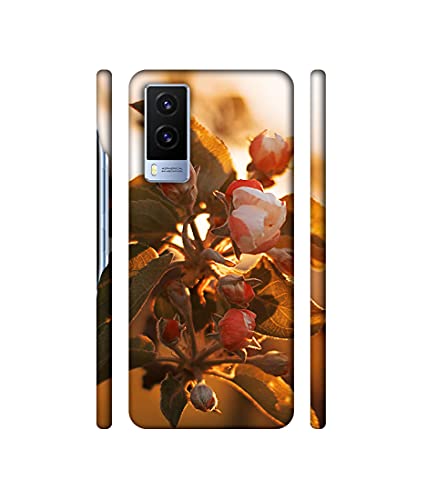 Image of Amazon Brand - Solimo Basic Case for Vivo V21E 5G (Plastic Multicolor)