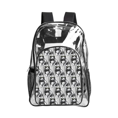 Mochila de seguridad transparente de alta resistencia en PVC con moderno estampado de gatos