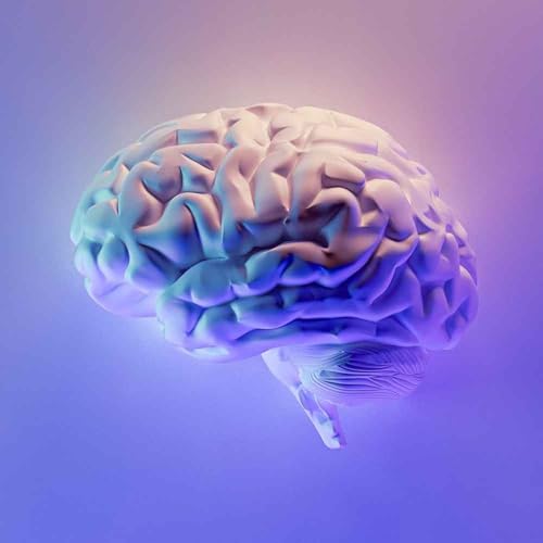 How forgiveness changes you and your brain cover art