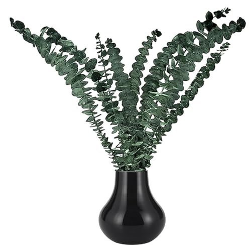 Tallos de eucalipto de ducha - Eucalipto seco natural, flor de eucalipto decorativa | Decoración grande de eucalipto, pieza central de flores para el hogar, decoración de vegetación natural, tallos de