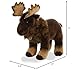 Aurora® Adorable Miyoni® Moose Stuffed Animal - Lifelike Detail - Cherished Companionship - Brown 14 Inches