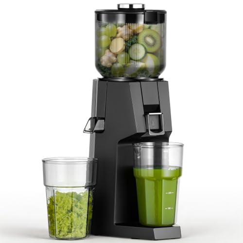 AAOBOSI Entsafter, 200W Entsafter Gemüse und Obst Testsieger mit 132mm Großer Einfüllschacht Ohne Vorschneiden, Slow Juicer mit 700ml BPA-Frei Behälter für Obst Gemüse (Schwarz)