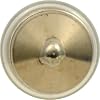 SYLVANIA DE3175 Long Life Miniature Bulb (Contains 2 Bulbs)