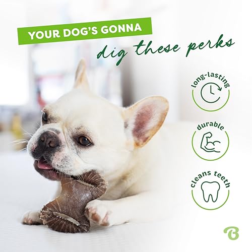 Image of Benebone Tiny 2-Pack Dog Chew Toys, Made in USA, Real Bacon Flavor