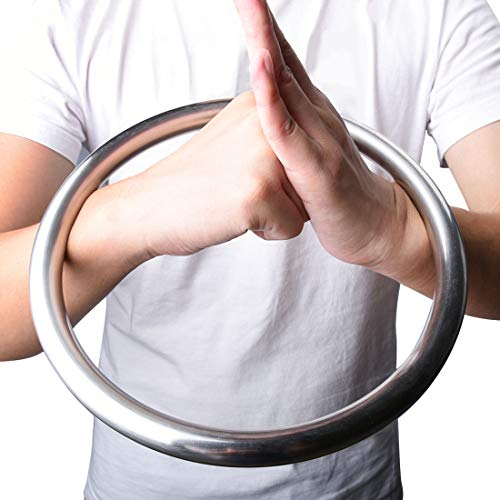 Fousam Wing Chun Stainless Ring, Martial Arts Wing Chung Practice Rings Kung Fu Karate Training Equipment for Adults Men