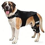 ALYBIT Dog Knee Braces for Torn ACL Hind Leg, Adjustable Dog Leg Braces for Back Leg with 4 Stabilizers for Luxating Patella Relieves Ligament Injury and Joint Pain (L)