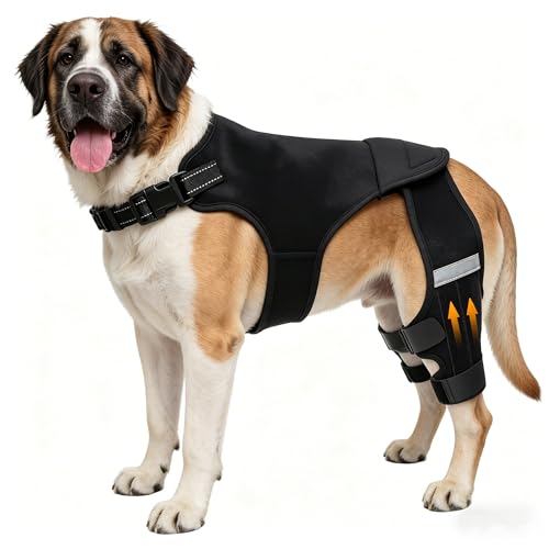 ALYBIT Dog Knee Braces for Torn ACL Hind Leg, Adjustable Dog Leg Braces for Back Leg with 4 Stabilizers for Luxating Patella Relieves Ligament Injury and Joint Pains