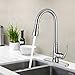 Motion Sensor Kitchen Faucet with Sprayer - Brushed Nickel No Touch Touchless Faucets Stainless Steel Single Handle Spot Resist by BOHARERS