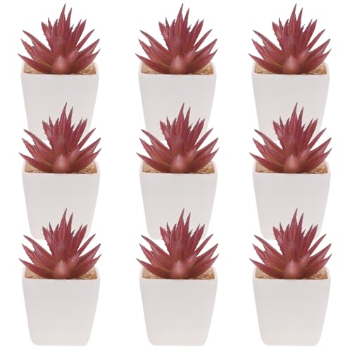 Plantas suculentas artificiales pequeñas para estancias sin luz natural pack de 10 unidades 2