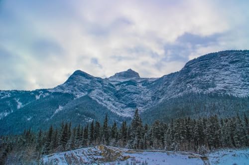 yJi_̎Rx|XgJ[hz~ɂт郍bL[R̐ቻ \ ot̗YȎR |XgJ[h ͂ photo by MIRO