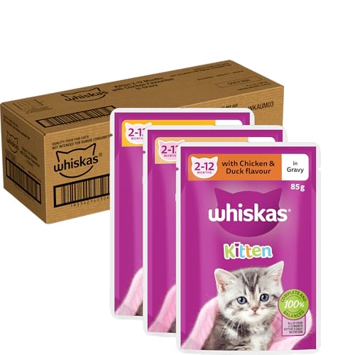 WHISKAS Kitten 2-12 Months Wet Cat Food with Chicken Favourites in Gravy 85g Pouch, 60 Pack