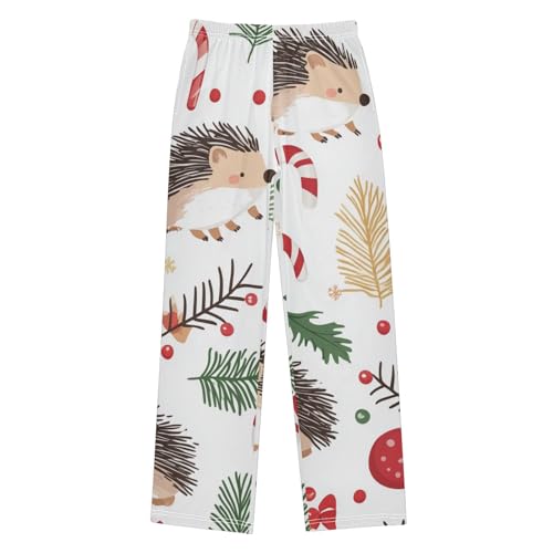 ZZXXB Hedgehog Candy Cane Boys Long Pants Soft Trousers Elastic Waist Kids Lounge Bottoms with Pockets S-XL