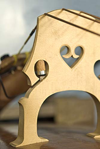 Amazon | Schertler STAT-B ロード静電トランスデューサ ダブルバス用  