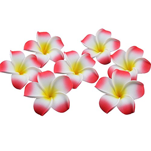 Ewanda Store 100 Pcs Diameter 1.6 Inch Artificial Plumeria Rubra Hawaiian Foam Frangipani Flower Petals For Weddings Party Decoration(Red) #TOP11