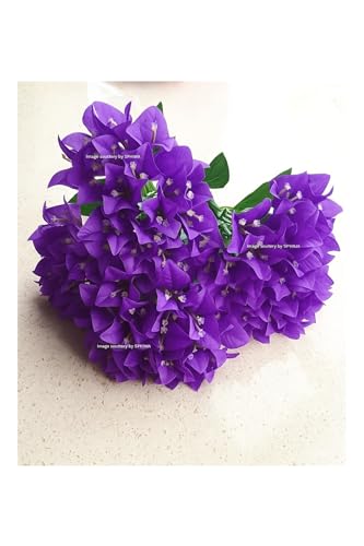 Image of SPHINX Artificial Bougainvillea 5 Heads Bunch Without Vase for Home Decor,Centerpieces, Christmas Decorations, Welcome Reception, Dinner Table decor Approx Height 50 cms- (1 Piece, Purple)