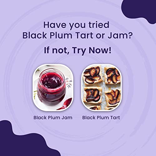 NOTTY NUTS Dried Black Plum/Pitted Prune (250G | Dehydrated Plum | Black Plum Dried Fruit Bold Size| Hygienically Packed Healthy Snack & Antioxidant Rich Pitted Prune (250Gm (Pack Of 1))