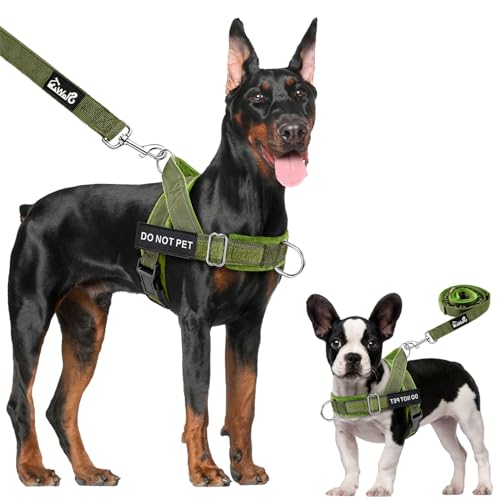 Lukovee No Pull Dog Harness & Leash Set - Heavy Duty Dog Vest Harness with Soft Padded for Medium Large Dogs, Adjustable Reflective Tactical Pet Harness for Easy Walk and Training (M, Green)