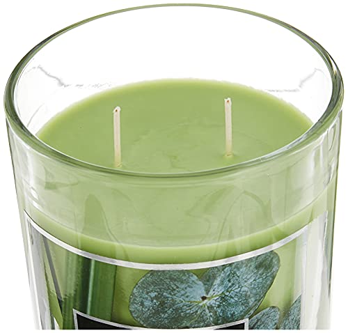 Aromascape PT41900 2-Wick Scented Jar Candle, Bamboo & Eucalyptus, 19-Ounce, Green - Image 3