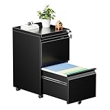 Tivostaral 2 Drawer Mobile File Cabinet