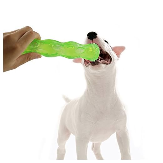 CEESC Juguete para masticar hueso de perro, limpieza de dientes y juego de puzzle para cachorro, 3 tamaños y 3 opciones de colores