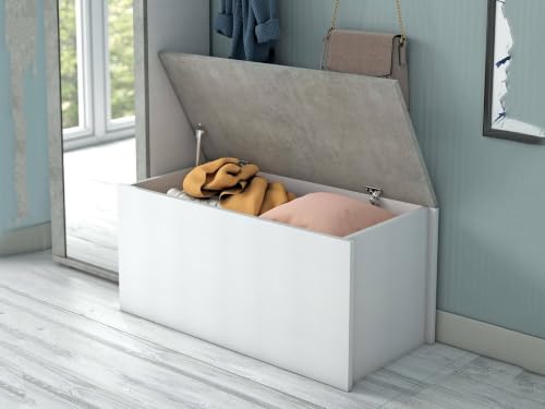 Dmora - Malle Miltonia, Grande boîte de rangement polyvalente, Coffre moderne, 100% Made in Italy, 90x45h45 cm, Blanc et Ciment – vue 8