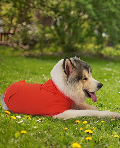 Kickred 2 Pieces Basic Cotton Dog Hoodie Sweater, Soft Pet Clothes Dog Sweatshirts, Dog Outfit Coat Pullover With Pocket And Leash Hole For Small Medium Large Dogs, L #TOP5