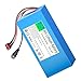 WSDAV 36V Lithium-ion Battery 36V 8Ah 10Ah 20Ah Rechargeable Battery with Charger and BMS for 288W 360W 720W Motor,36v20ah