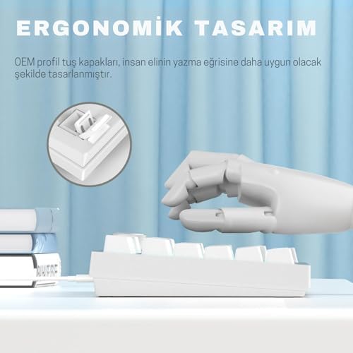 Coverzone Beyaz Işıklı Hot Swap Kablolu Mekanik Oyun Klavyesi | Ajazz AK820 Beyaz - Mavi Switch - Görsel 6