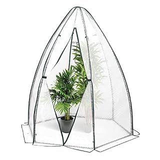 WOLTU serre d’hivernage PE blanche 160 x 160 x 180 cm