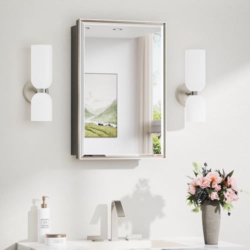 TokeShimi 16x24 Beveled Mirrored Medicine Cabinet Wall Mounted or Recessed Medicine Cabinet with Mirror for Bathroom Brushed Nickel, Aluminum Framed Metal Mirror with Storage Adjustable