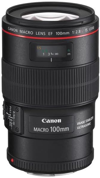 Canon EF 100 mm f2.8L Macro IS USM Lens, Black