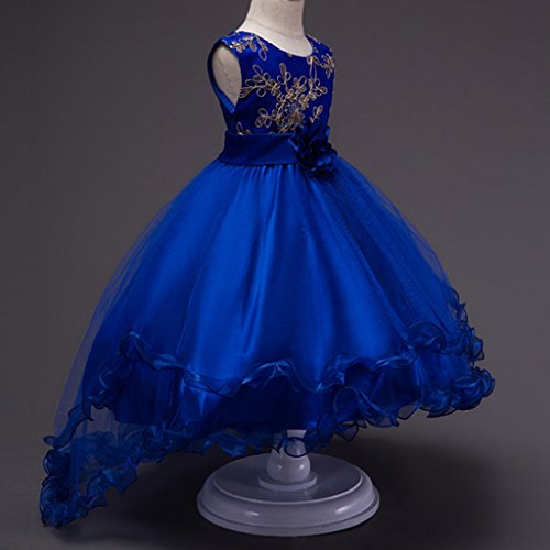 DreamHigh Gorgeous Girls' Princess Evening Party Long Tailing Dress up4