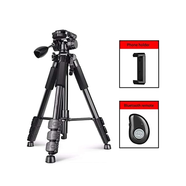 FEANG Leichte Kamera-Stativ 57-Zoll, Reise Aluminium Professional Stativständer mit 360 Panorama und 1/4… – Bild 4