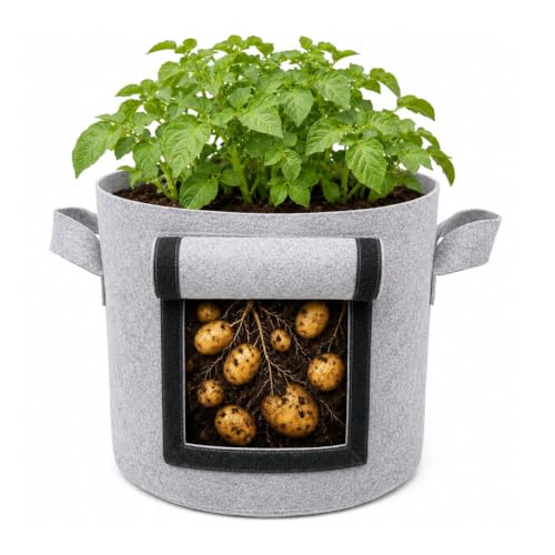 Image of Casa De Amor 15x12 Inch Potato Grow Bags for Root Vegetables, Geo Fabric 400 GSM Plant Bag (Light Grey, Pack of 1)