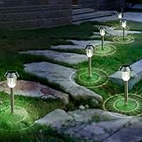 Solar Garden Lights Outdoor Landscape Pathway Lights Powered by SunPower Solar Panels Aglaia 6 Pack (Stainless Steel)