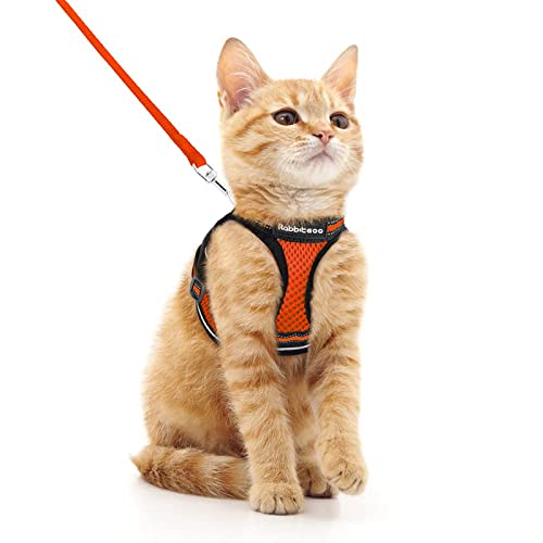 Image of rabbitgoo Cat Harness and Leash Set, Step-in Soft Vest, Orange