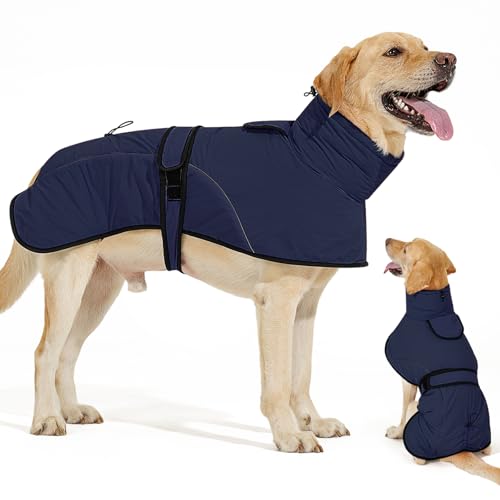 Dotoner Cappotto Impermeabile per Cani,Cappottino Cani,con Foro Guinzaglio e Bande,Giubbotto cane Antivento Invernale Termico con Bretchie Regolabile per Cane Taglia Piccola, Media e Grande