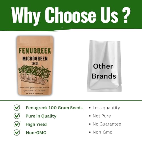 Image of Navika Seeds Fenugreek Microgreen for Hydroponic, Soil & Tray Growing | Fast Germination | High Yield | Non-GMO Methi Microgreens Seeds | Free Growing Guide Included | 100 Gram Packet
