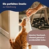 DR.CLAUDER'S - Trainee Snack Ziege | Leicht verdauliche Snacks aus fettarmen Ziegenfleisch für Hunde und Katzen. Getreidefreie, präbiotische Leckerlis im Frischebeutel | 80g