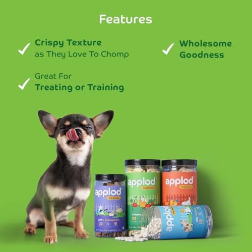 Image of Pumpkin with Turmeric Dog Biscuits for Puppies & Adult Dogs | Oven-Baked Crunchy Dog Treats Made with Real Ingredients | Healthy Training & Reward Snacks | 845g