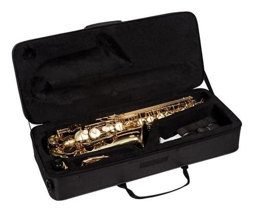 SAX ALTO VOGGA VSAS701N