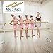 Artan Balance Extension for 6Ft Double Bar Curved Ballet Barre 25